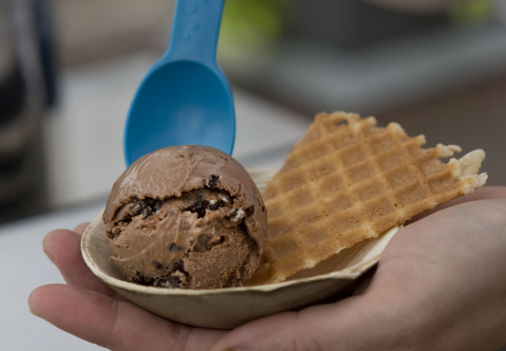 Taste of Roanoke Street Fair